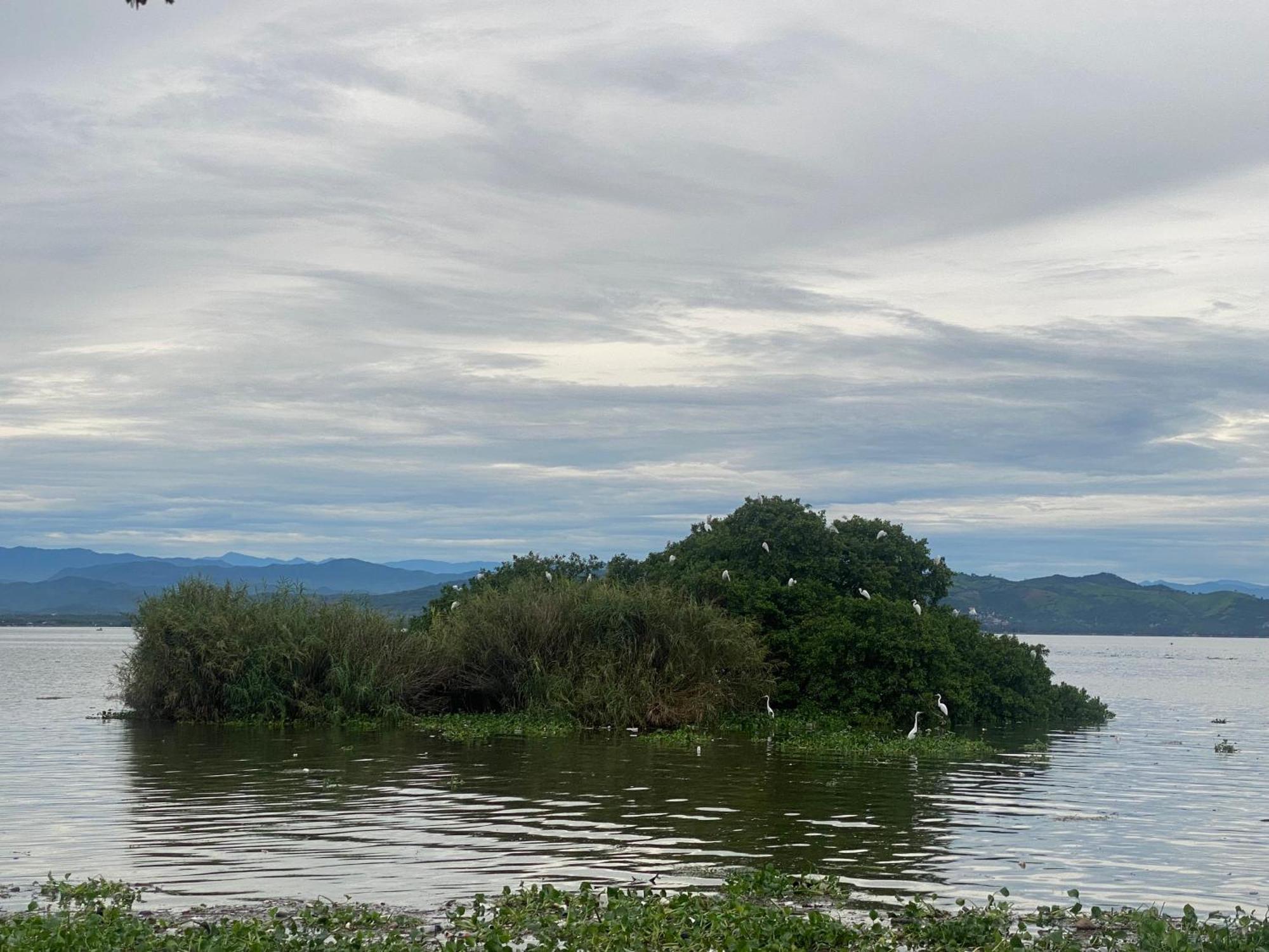 Acapulco Diamante Hermoso Departamento Zewnętrze zdjęcie
